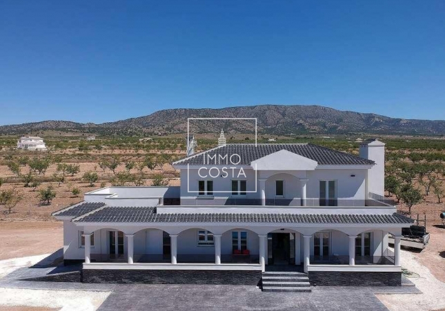 Villa - Neubau - Pinoso - Camino Del Prado