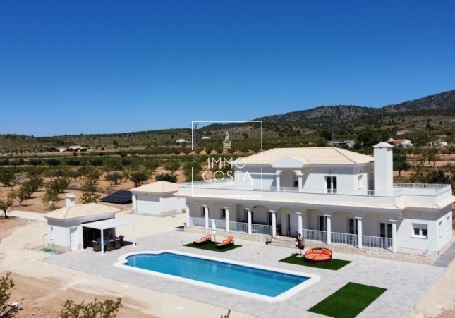 Villa - New Build - Pinoso - Camino Del Prado