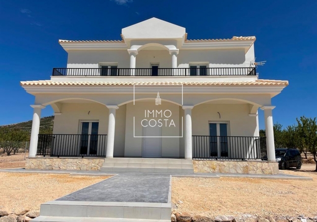 Villa - New Build - Pinoso - Pinoso