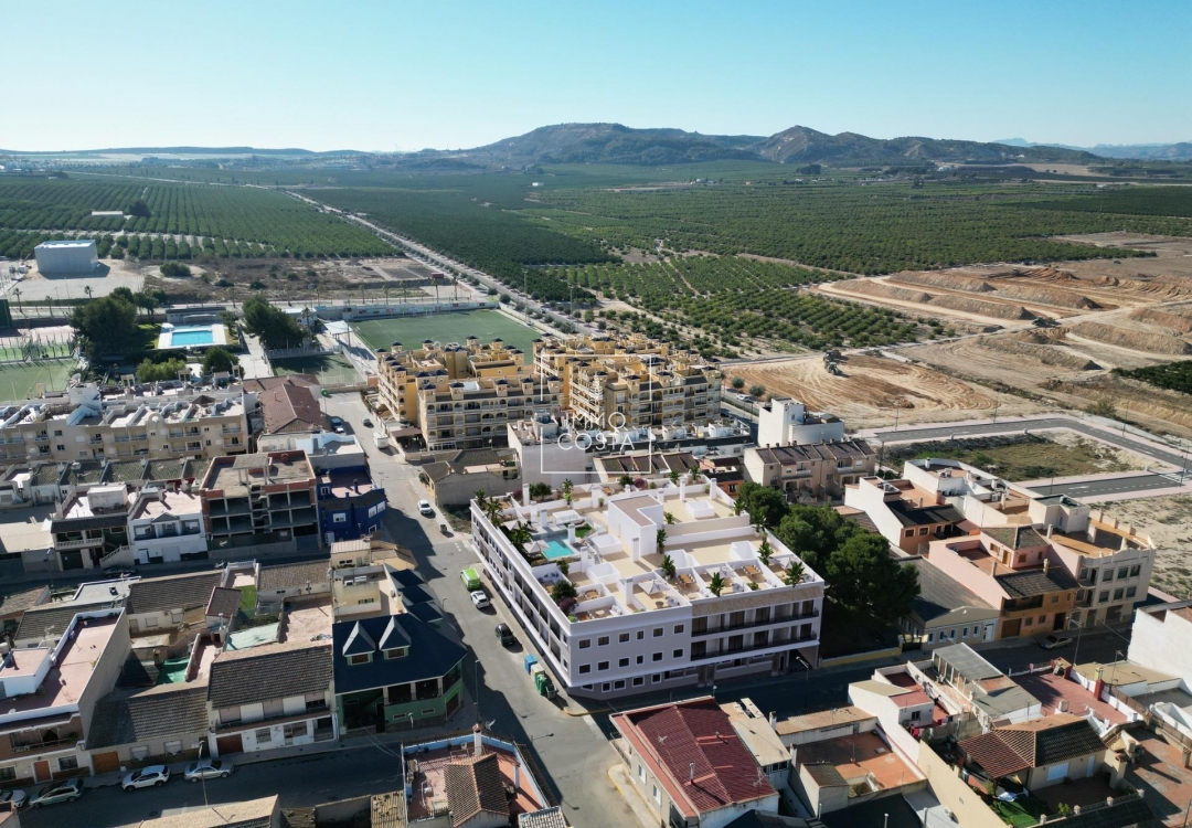 Obra nueva - Ático - Algorfa - Pueblo