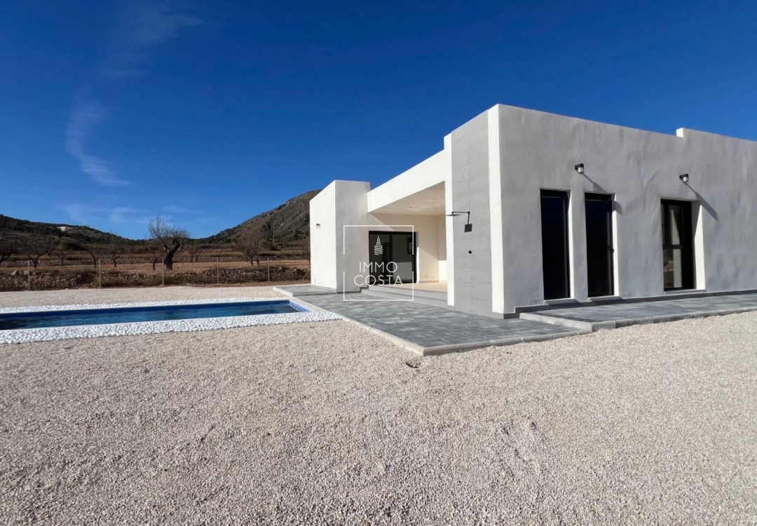 Obra nueva - Villa - Jumilla - Torre del Rico