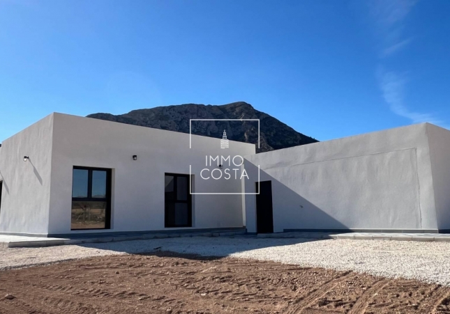 Obra nueva - Villa - Jumilla - Torre del Rico