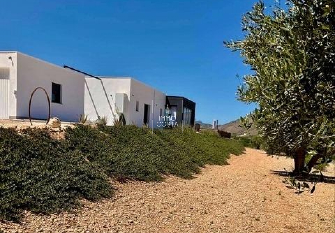 Obra nueva - Villa - Jumilla - Torre del Rico