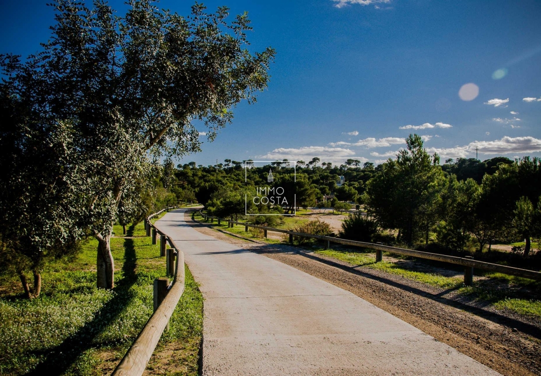 Neubau - Villa - Rojales - Doña Pena