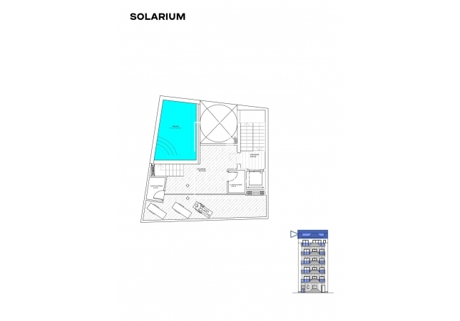 Obra nueva - Apartamento / piso - Torrevieja - Playa De Los Locos