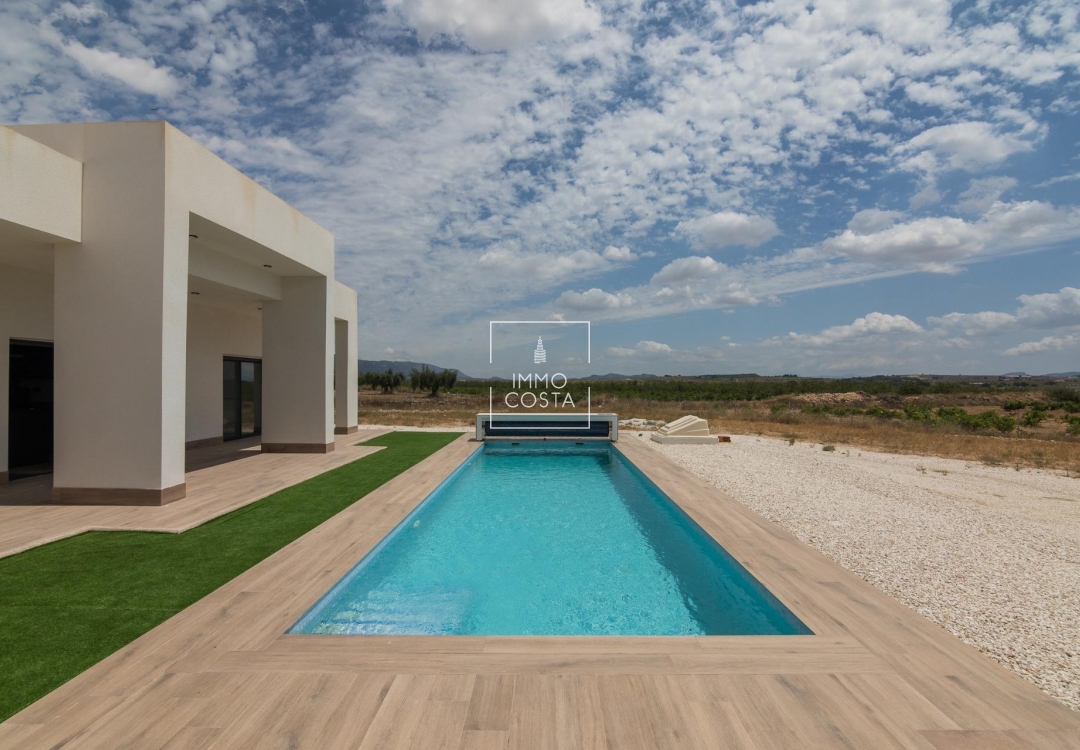 Obra nueva - Villa - Pinoso - Campo