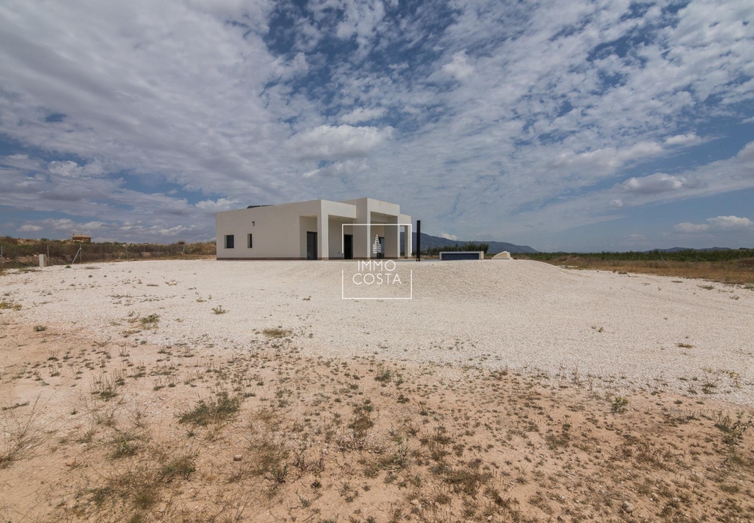 Obra nueva - Villa - Pinoso - Campo