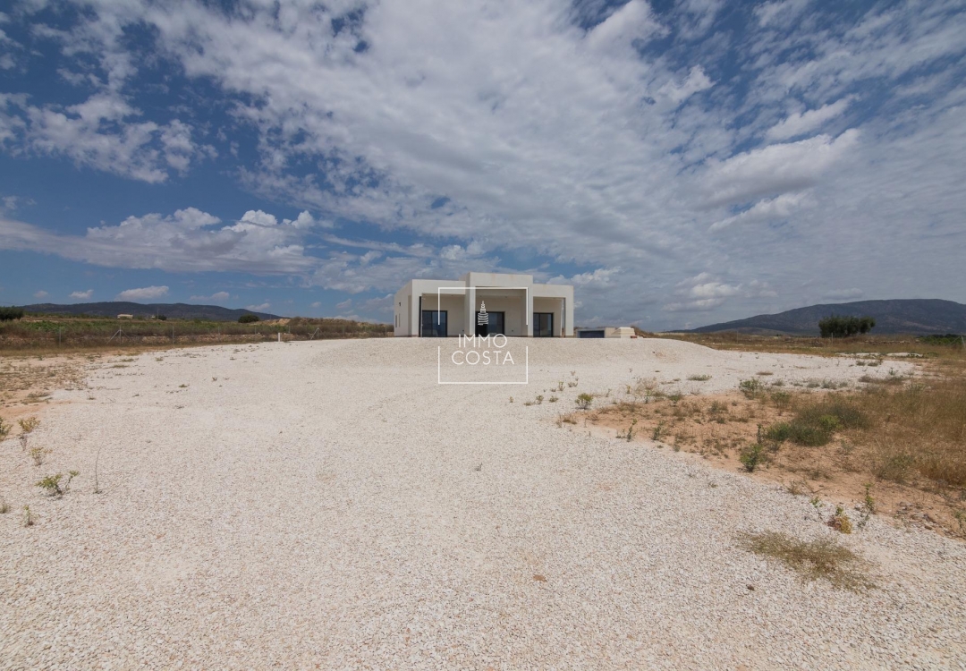 Obra nueva - Villa - Pinoso - Campo