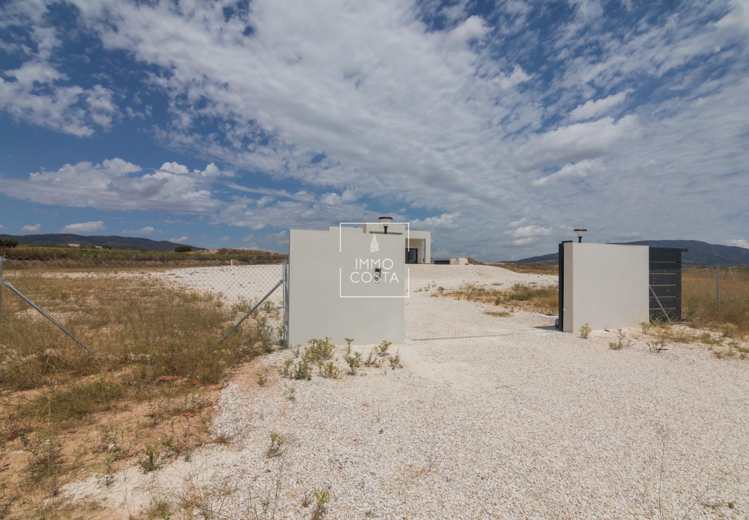 Obra nueva - Villa - Pinoso - Campo