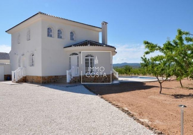 New Build - Villa - Pinoso - Campo