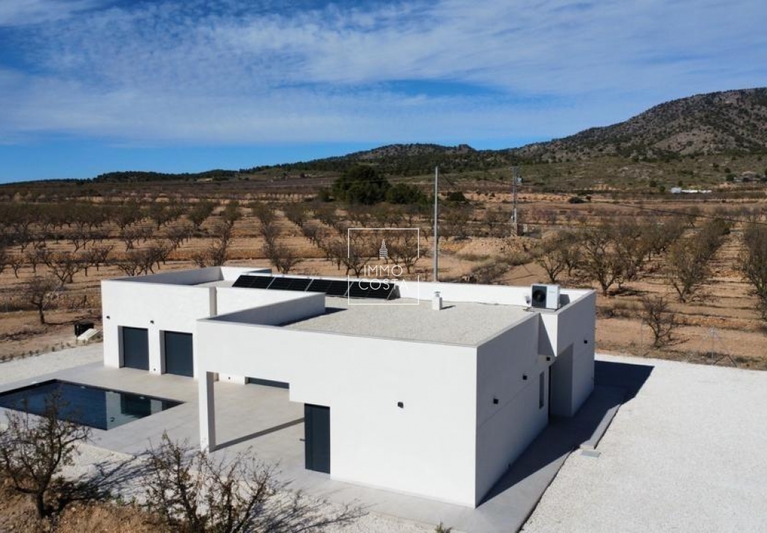 Obra nueva - Villa - Pinoso - Campo