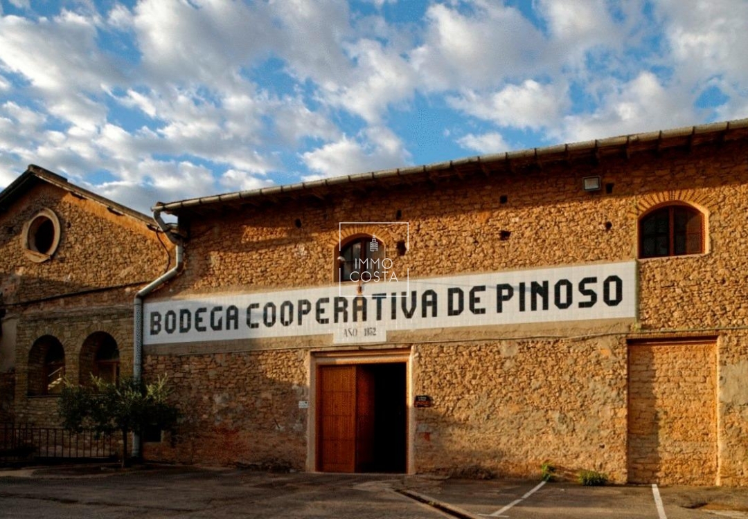 Obra nueva - Villa - Pinoso - Campo