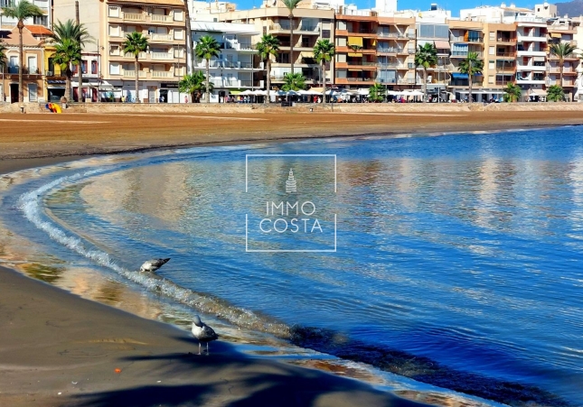 Obra nueva - Adosado - Fuente Álamo - La Pinilla