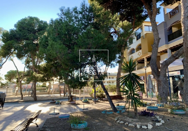 Neubau - Bungalow - San Javier - Roda Golf