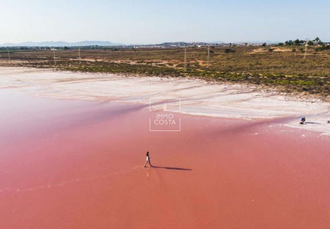 Obra nueva - Ático - Torrevieja - Playa Del Cura