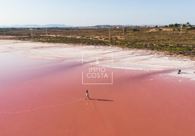 Obra nueva - Ático - Torrevieja - Playa Del Cura