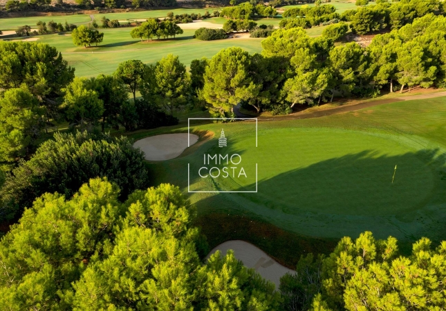 Obra nueva - Villa - Pilar de La Horadada - Lo Romero Golf