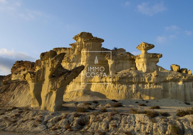 Nouvelle construction - Villa - Fuente Álamo - La Pinilla