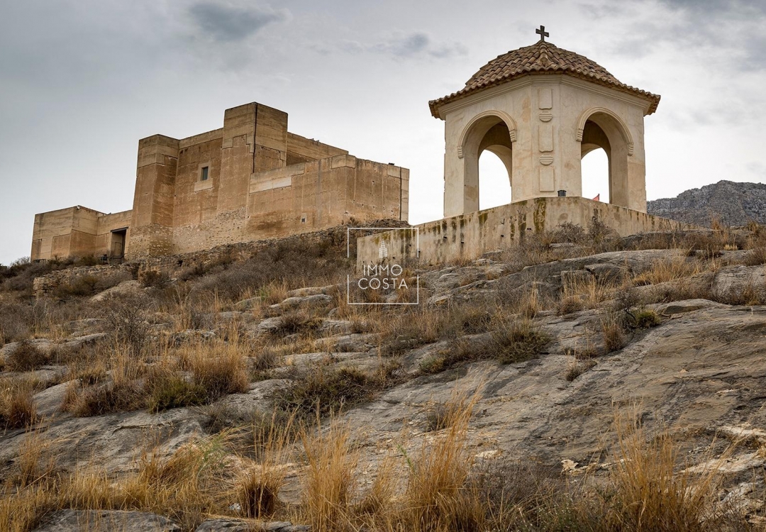 Neubau - Stadthaus - Cox - San Fernando