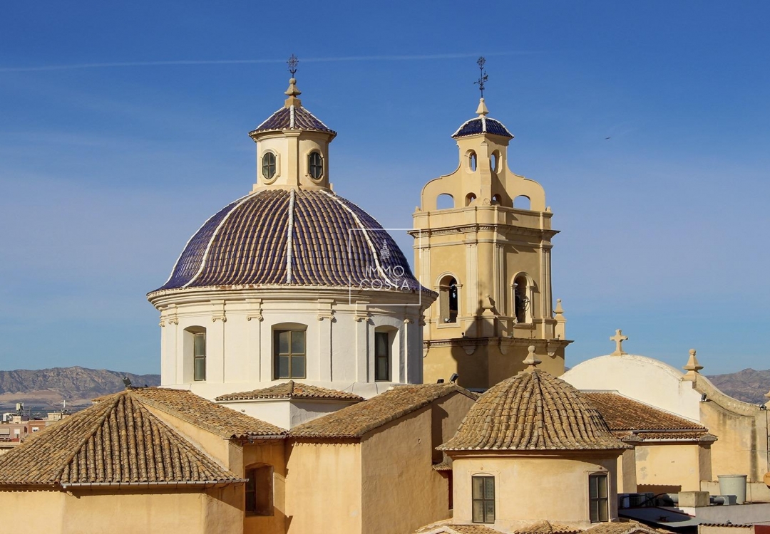 Neubau - Stadthaus - Cox - San Fernando