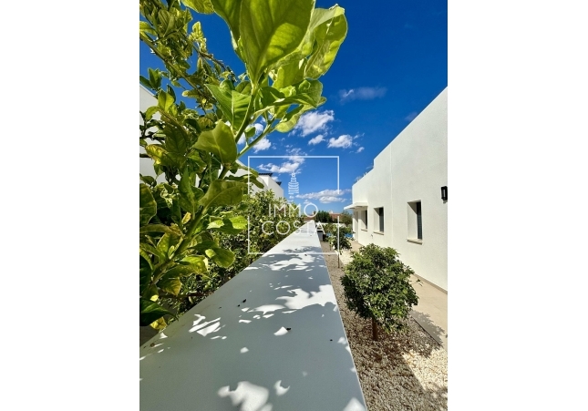 Nowy budynek - Villa - Benijofar - Pueblo