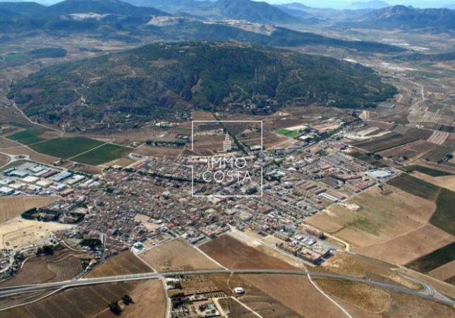 Obra nueva - Villa - Pinoso - Lel