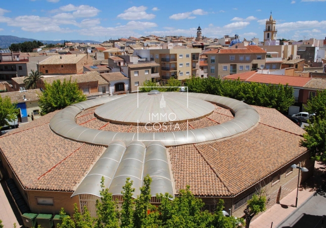 Obra nueva - Villa - Pinoso - Lel