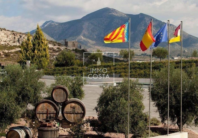 Obra nueva - Villa - Pinoso - Lel