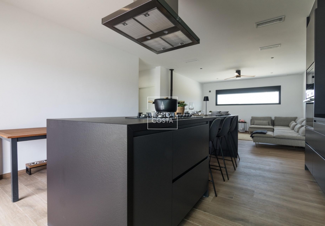 Obra nueva - Villa - Pinoso - Lel