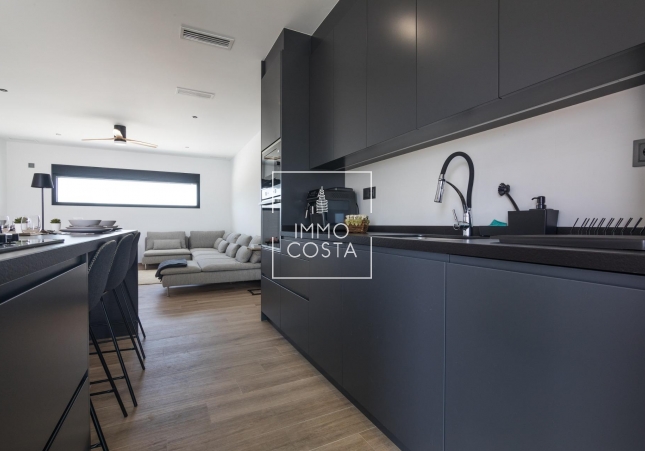 Obra nueva - Villa - Pinoso - Lel