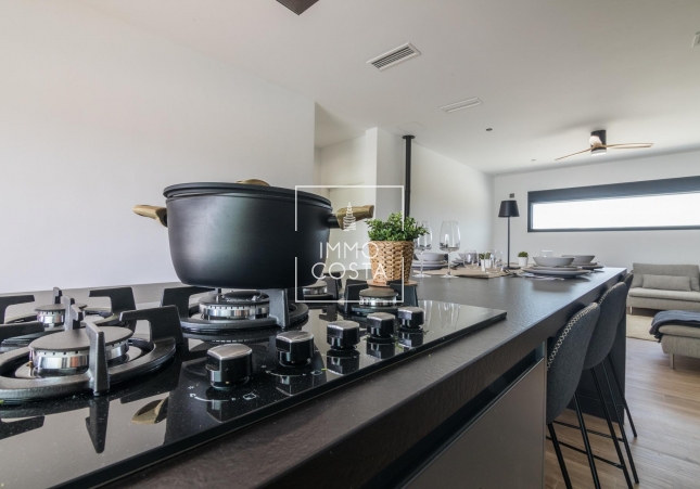 Obra nueva - Villa - Pinoso - Lel