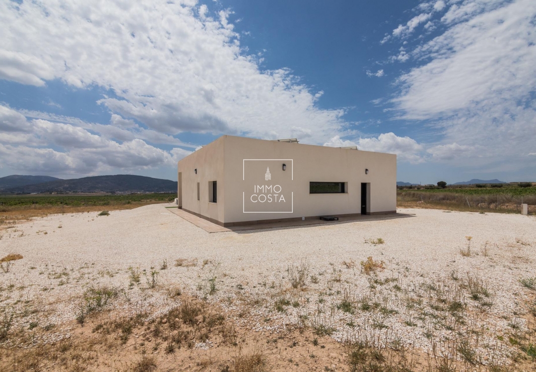 Obra nueva - Villa - Pinoso - Lel