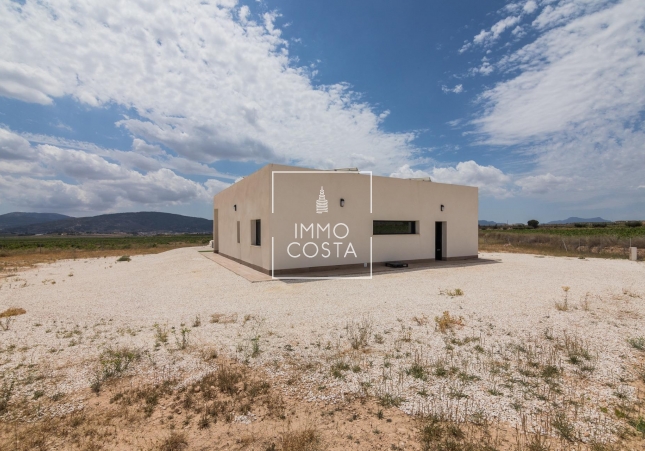 Obra nueva - Villa - Pinoso - Lel