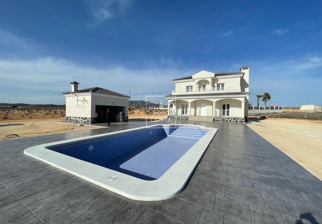 Obra nueva - Villa - Pinoso - Camino Del Prado