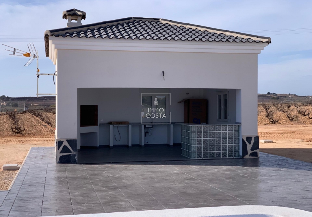 Obra nueva - Villa - Pinoso - Camino Del Prado