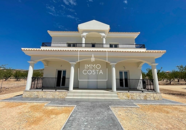 Obra nueva - Villa - Pinoso - Camino Del Prado