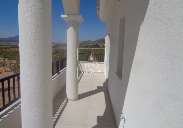 Obra nueva - Villa - Pinoso - Camino Del Prado