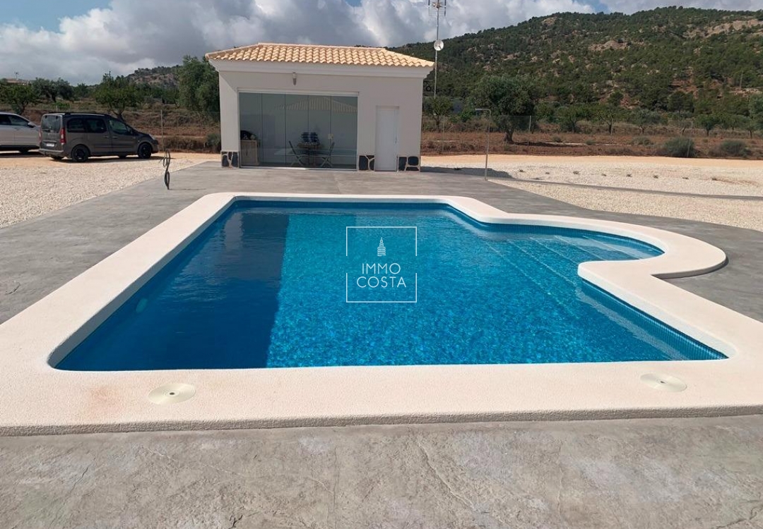 Obra nueva - Villa - Pinoso - Camino Del Prado