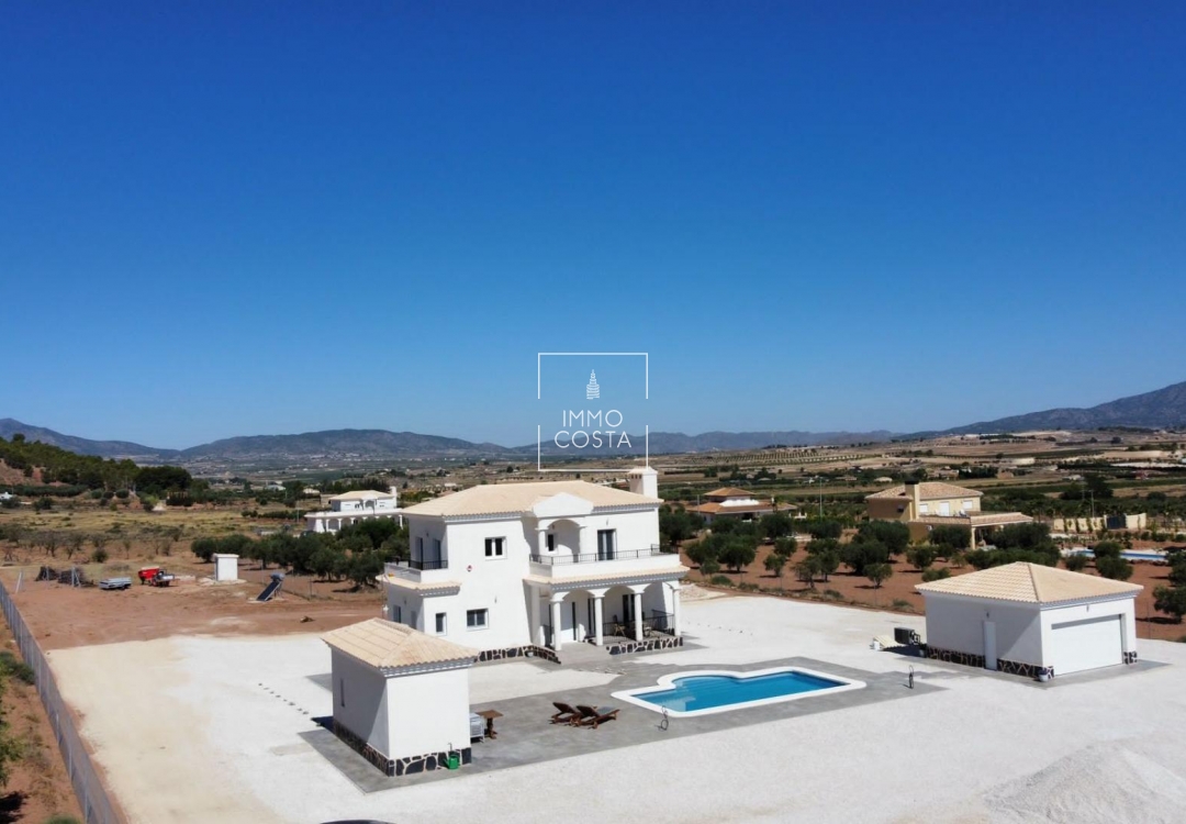 Obra nueva - Villa - Pinoso - Camino Del Prado