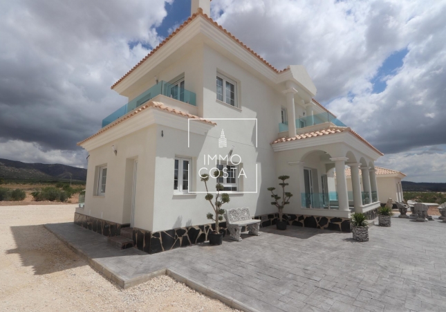 Obra nueva - Villa - Pinoso - Camino Del Prado