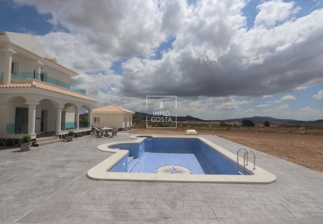 Obra nueva - Villa - Pinoso - Camino Del Prado