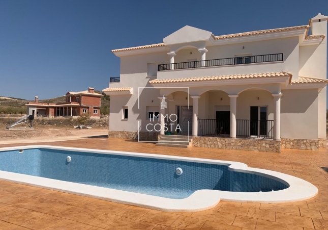 Obra nueva - Villa - Pinoso - Camino Del Prado