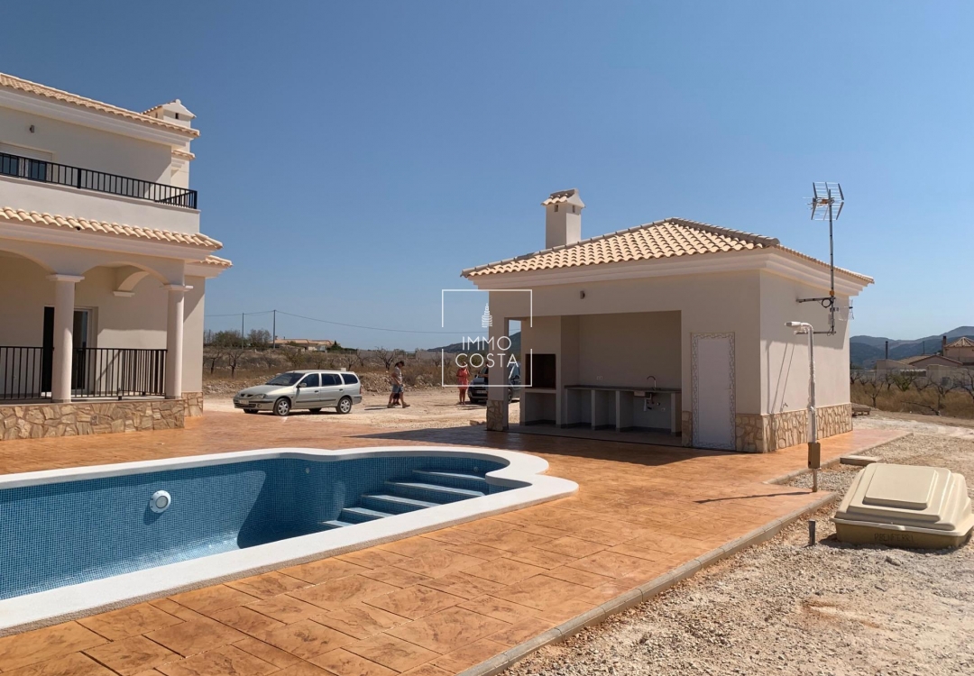 Obra nueva - Villa - Pinoso - Camino Del Prado