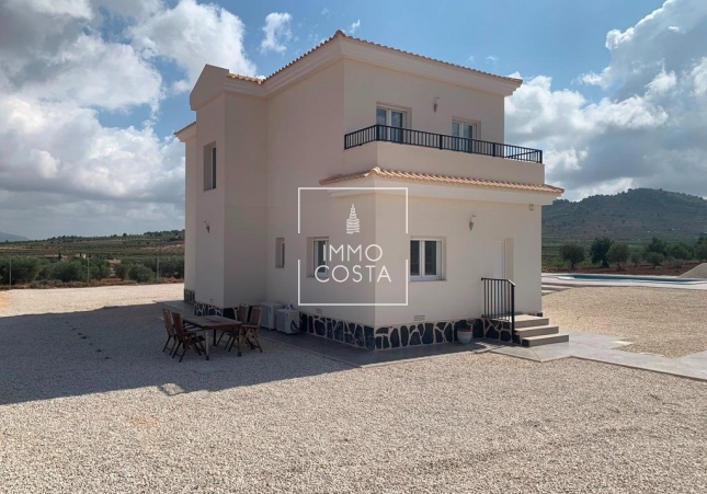 Obra nueva - Villa - Pinoso - Camino Del Prado