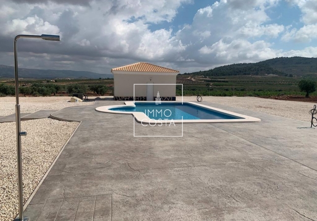 Obra nueva - Villa - Pinoso - Camino Del Prado