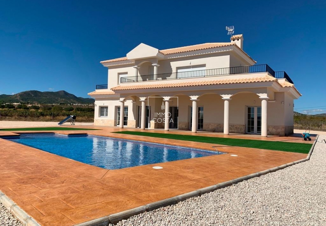 Obra nueva - Villa - Pinoso - Camino Del Prado