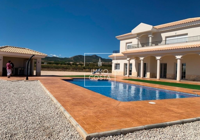 Obra nueva - Villa - Pinoso - Camino Del Prado