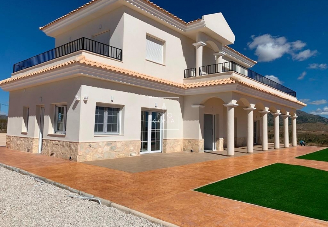 Obra nueva - Villa - Pinoso - Camino Del Prado