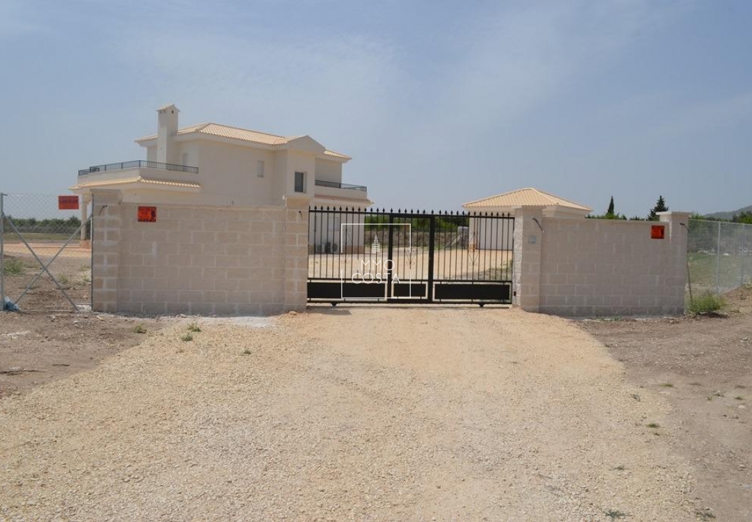 Obra nueva - Villa - Pinoso - Camino Del Prado