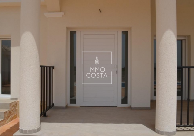 Obra nueva - Villa - Pinoso - Camino Del Prado